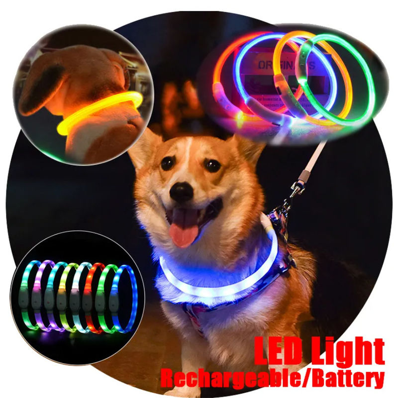 Collier de clignotant coloré en cuir s'exerçant de chiot des colliers de chien LED